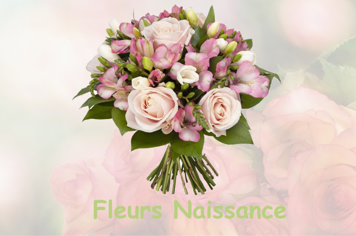 fleurs naissance SAINT-GEORGES-BLANCANEIX